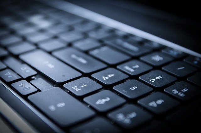 Oportunidades em empresas de T.I. atraem muitos brasileiros. Fonte: Pixabay