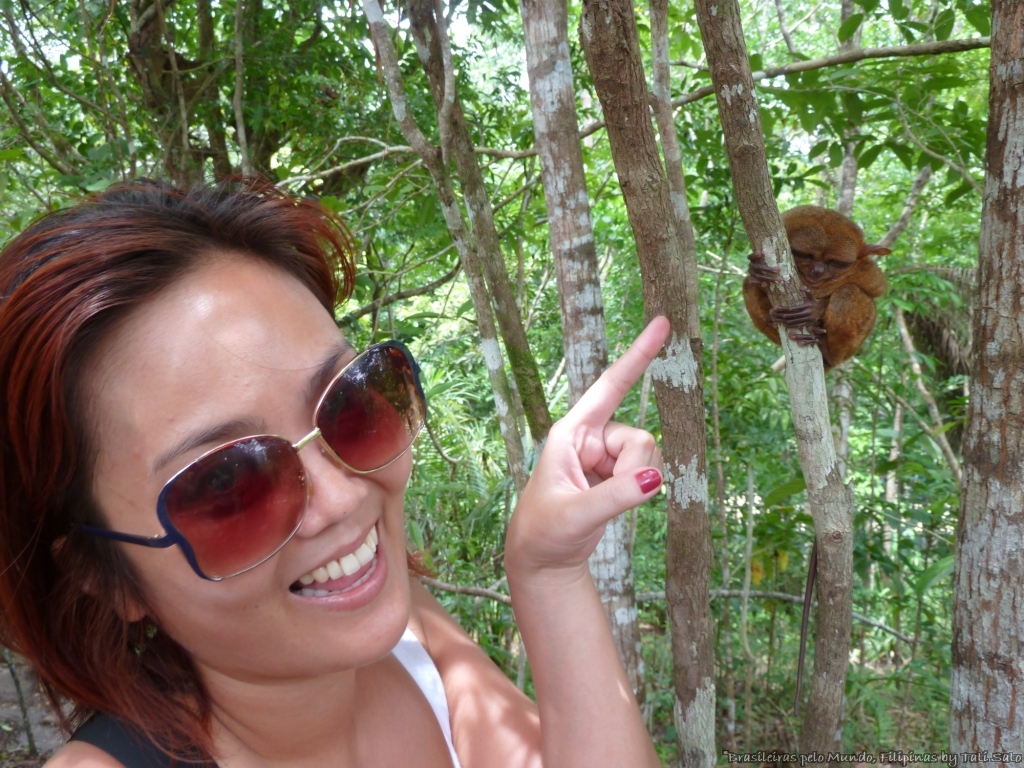 tarsier_yoda_brasileiraspelomundo_tatisato