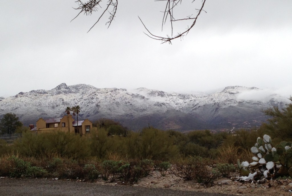 EUA – A Vida no Deserto