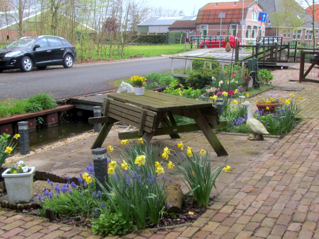 A deslumbrante primavera na Holanda