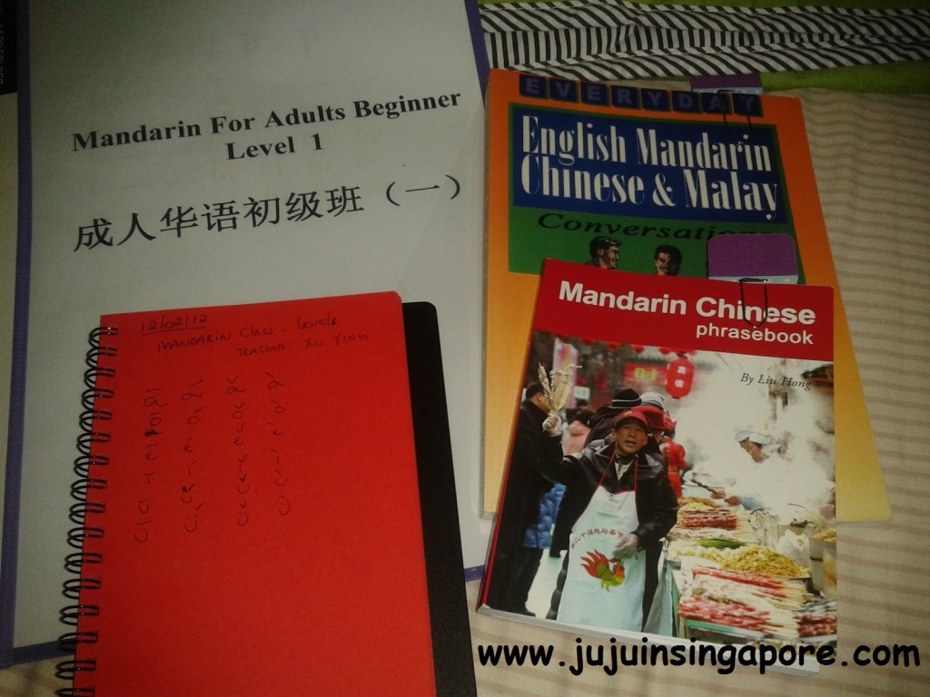 Cingapura – Estudando na Cidade Leão