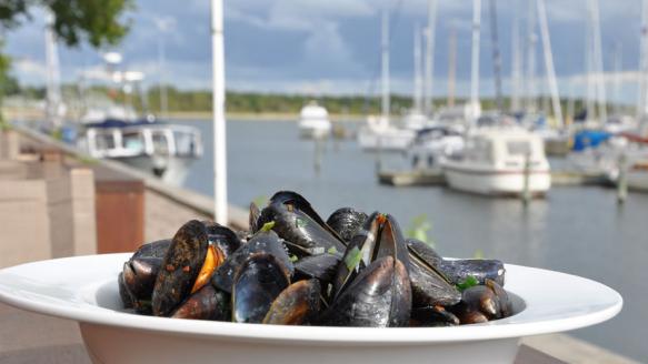 Løgstør oferece diferentes pratos à base de mexilhão no seu festival local (Foto: Divulgação/Visitnordjylland)