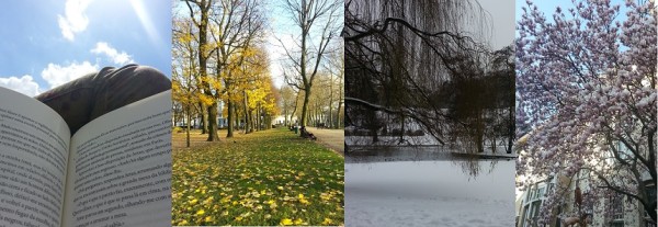 Verão, outono, inverno e primavera