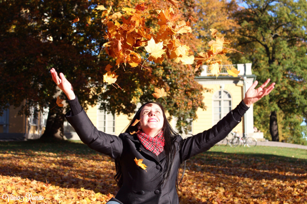 Dez motivos para morar na Suécia