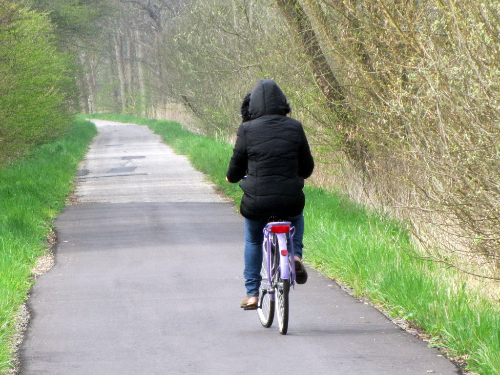 Dez motivos para morar na Holanda