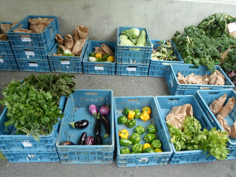 Alessandra trata diretamente com os produtores. Produtos frescos, sem agrotóxicos. Nada menos que o melhor é oferecido aos seus clientes.