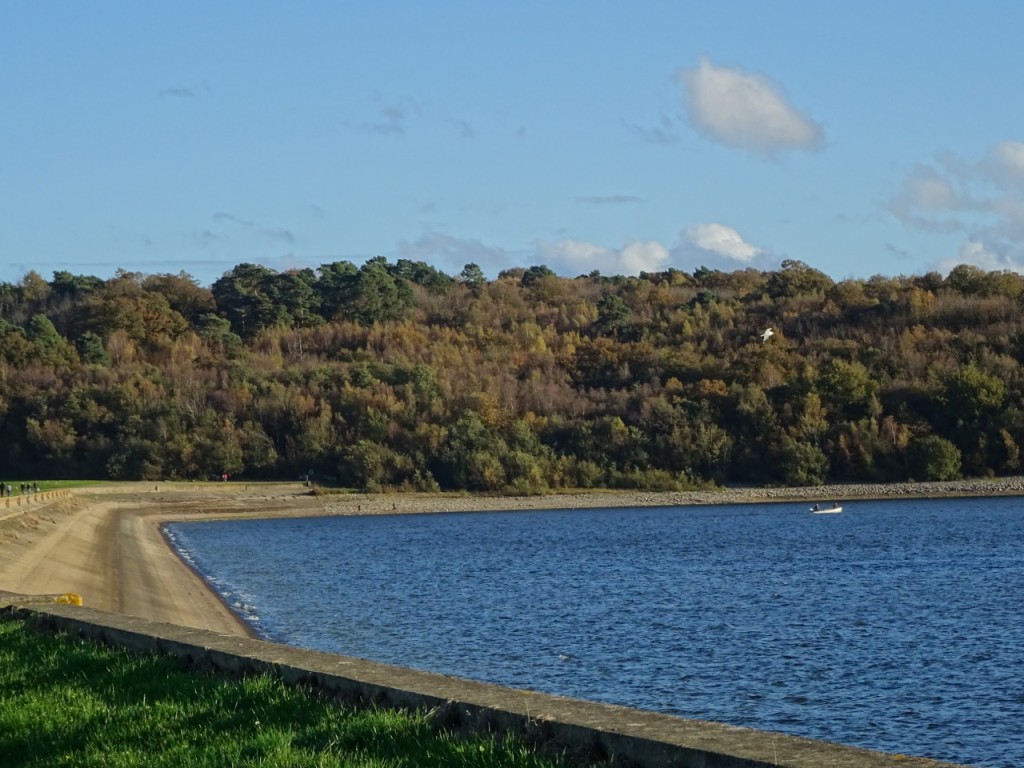 Bewl Water1