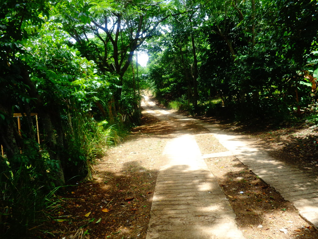 Caminho em Vallue