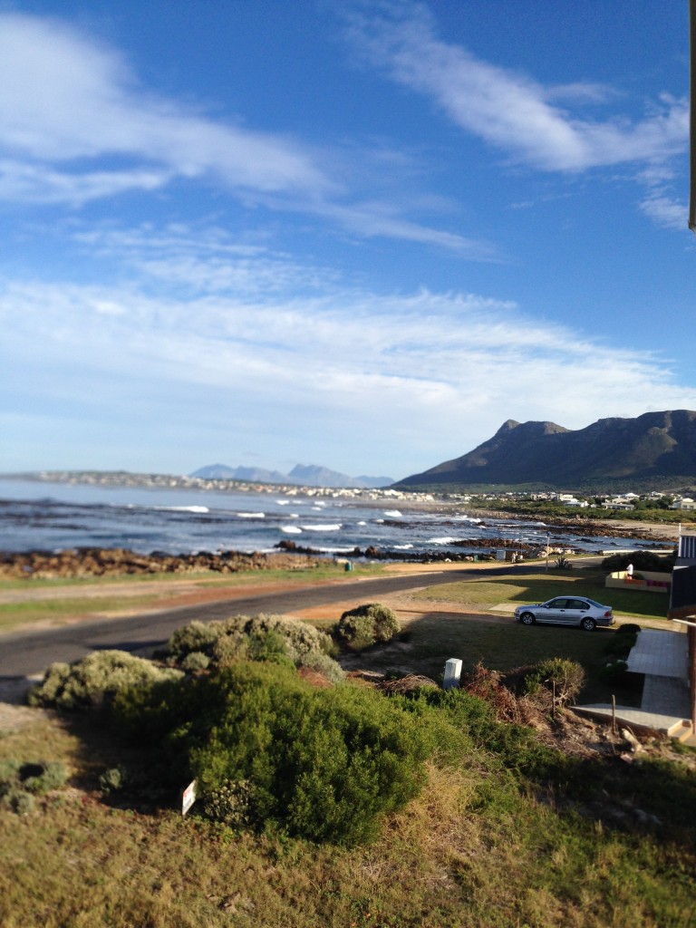 Observação de Baleias na África do Sul
