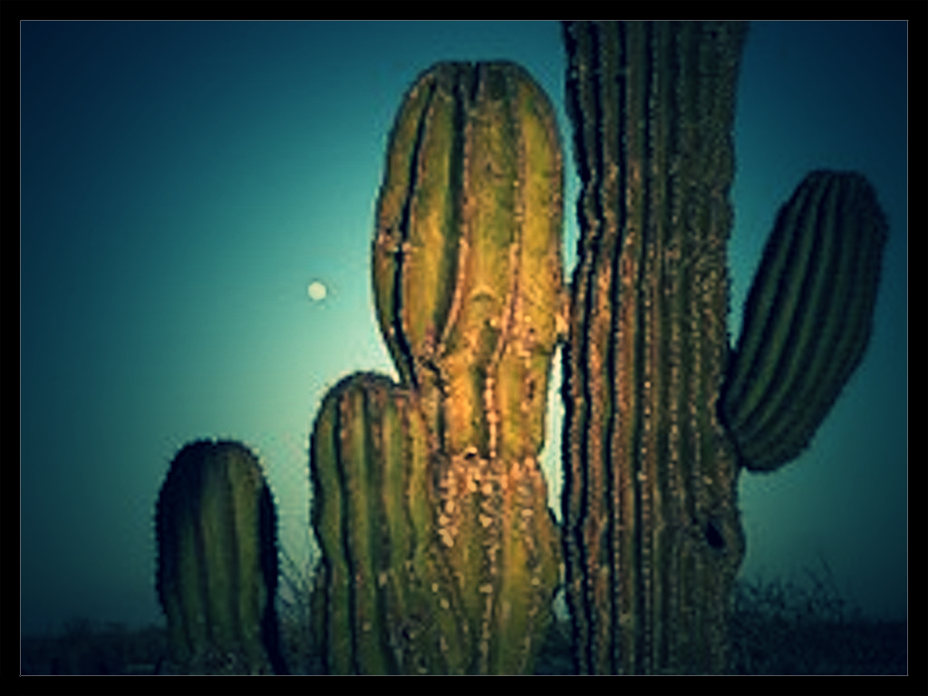 mexico-194829__180_Fotor