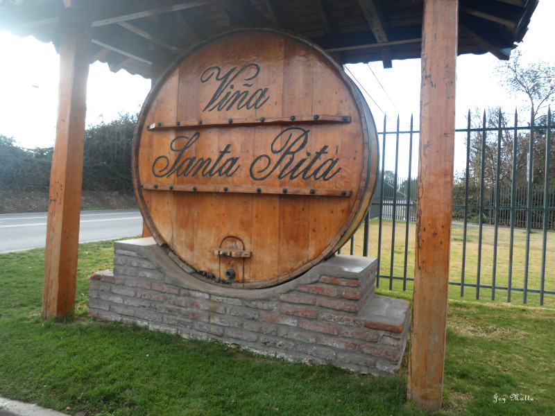 Entrada do vinhedo Santa Rita