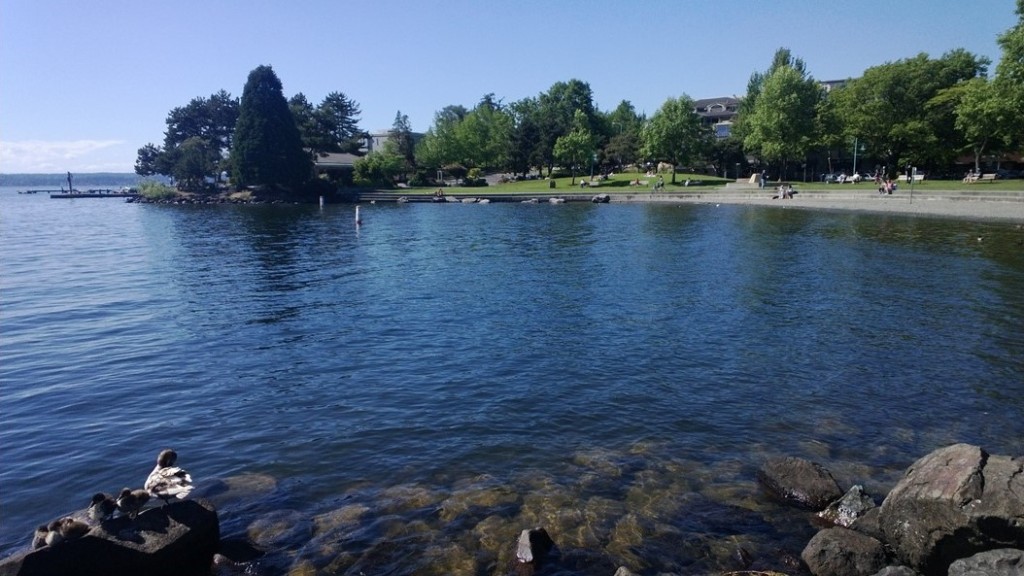 Seattle é a terra de Pearl Jam e da chuva