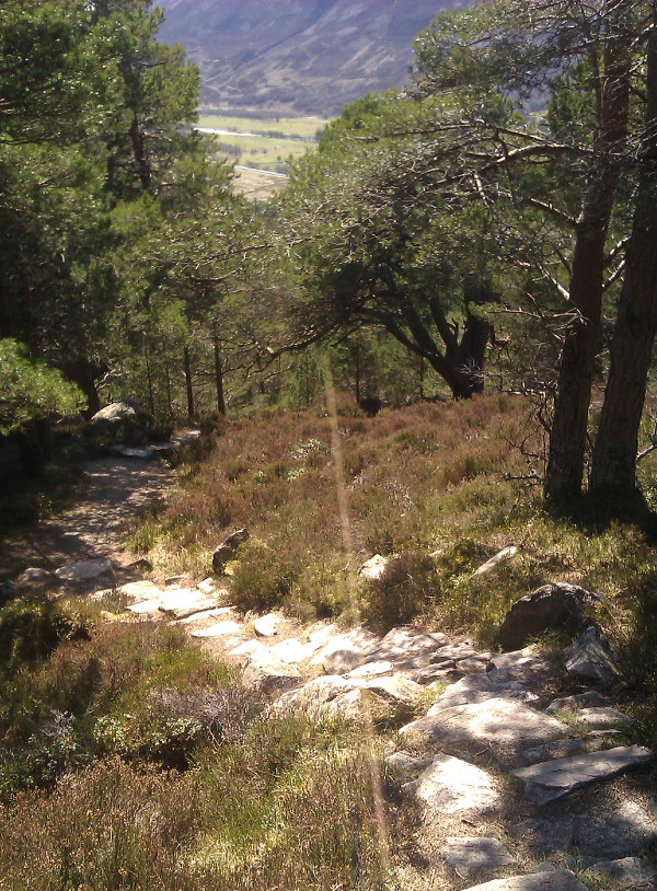 Creag Choinnich, em Braemar, Cairngorms National Park