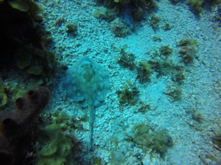 unnamed (4)