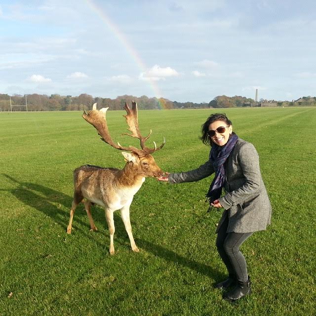 Phoenix Park