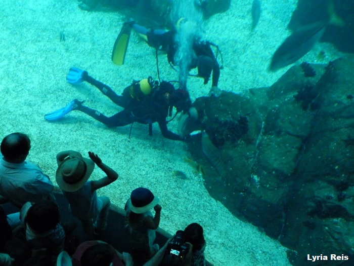 oceanário