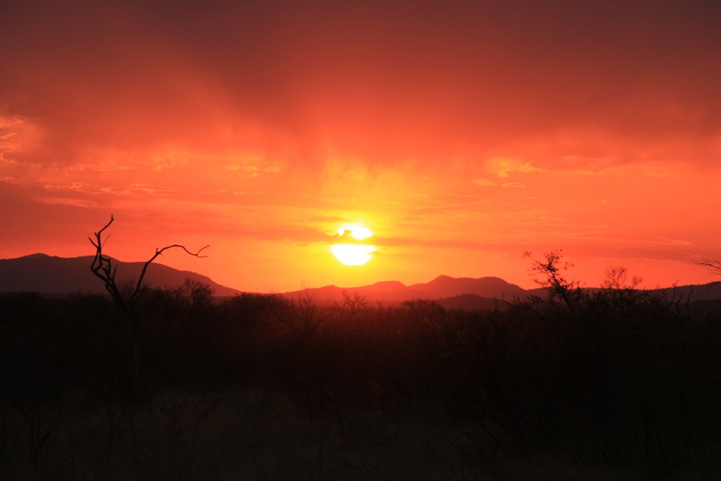 Por do sol em Madikwe. (Foto: M. Braga)