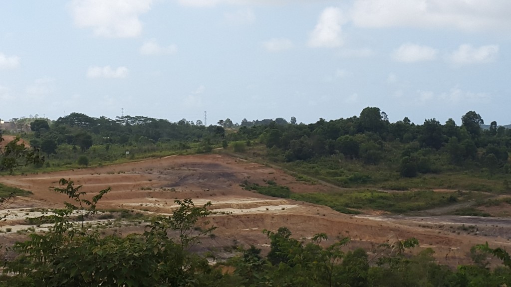 Tudo isso já foi um bosque verdinho... (Fonte: arquivo pessoal)