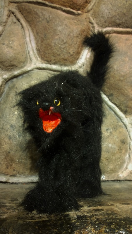 Gato_menor