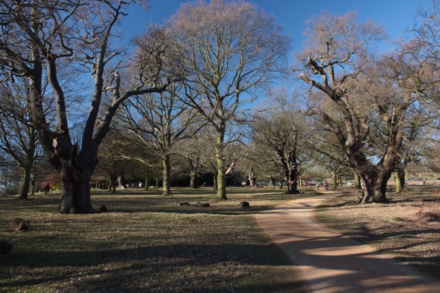 Texto Londres Richmond
