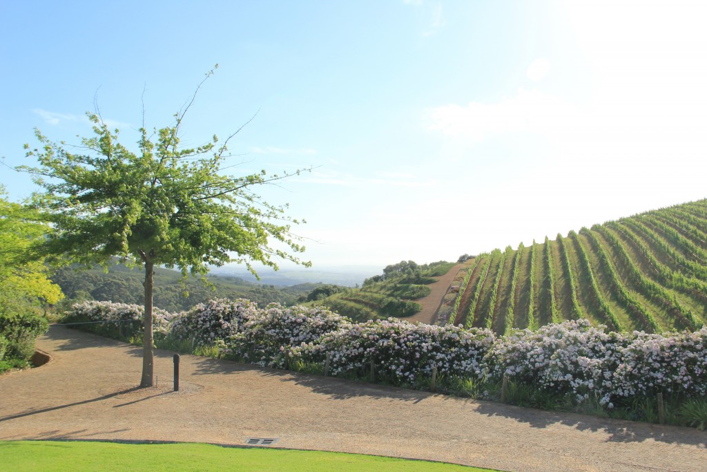 Tokara