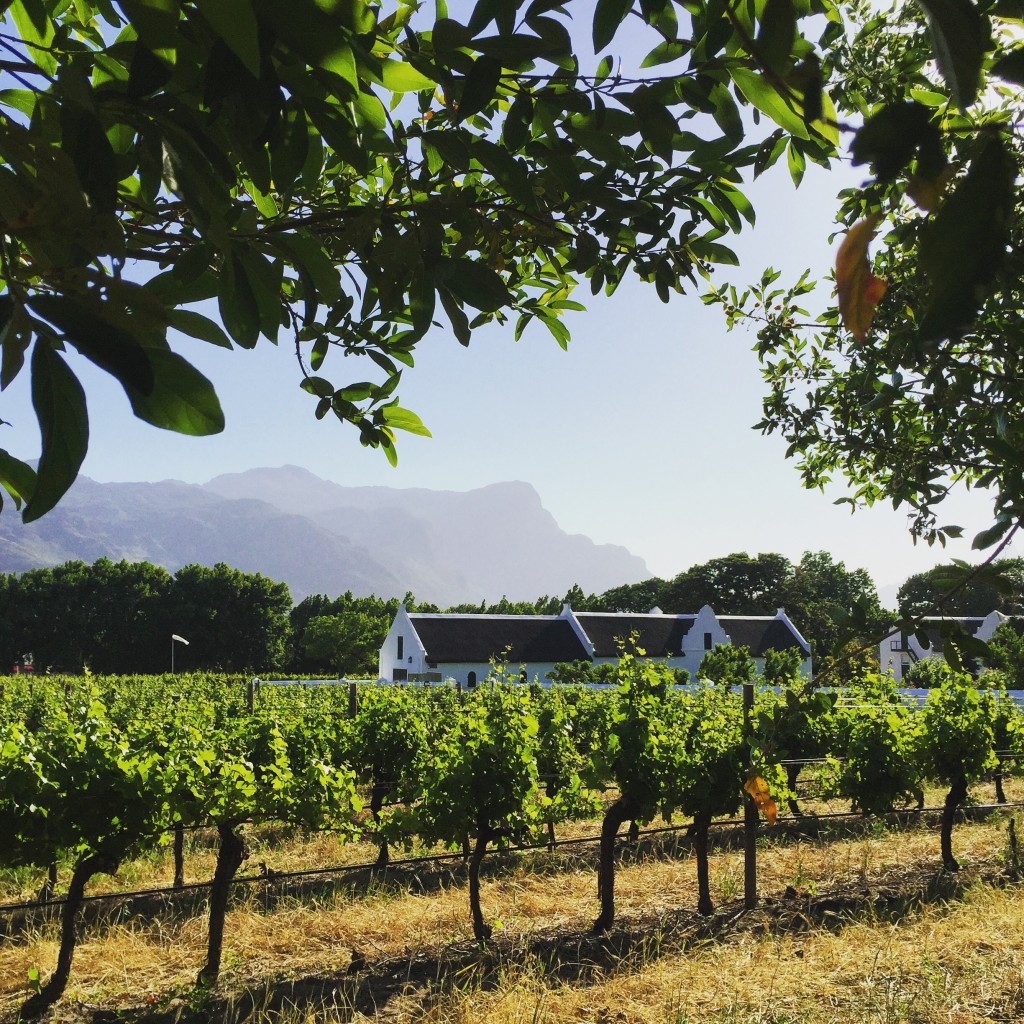 La Motte em Franschhoek (Foto: M. Braga)