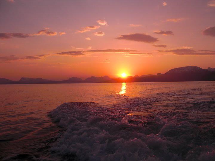 sol da meia noite