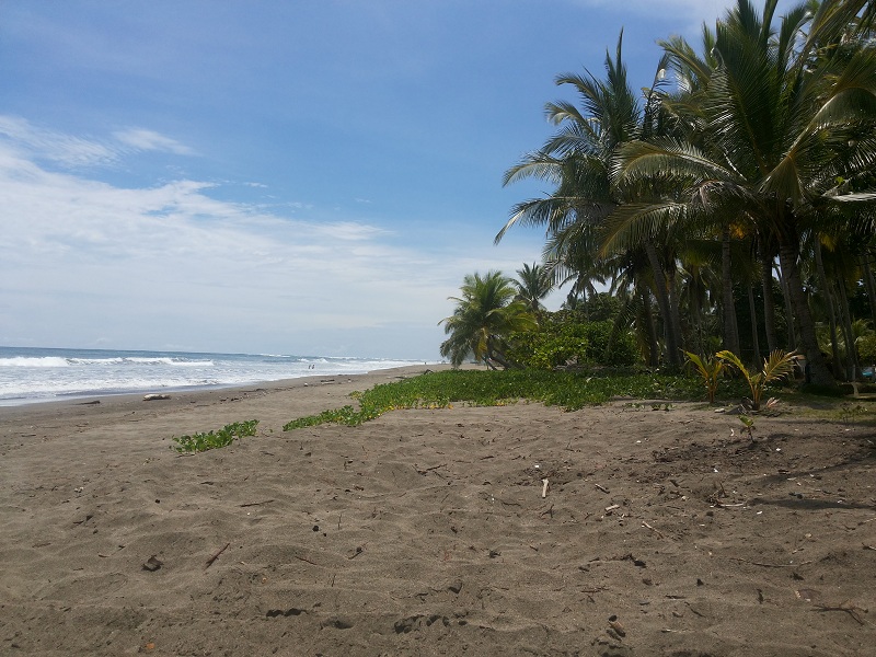 Praia de Esterillos