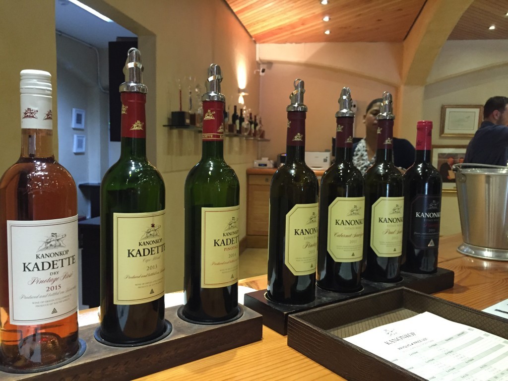 Western Cape e a rota dos vinhos na África do Sul