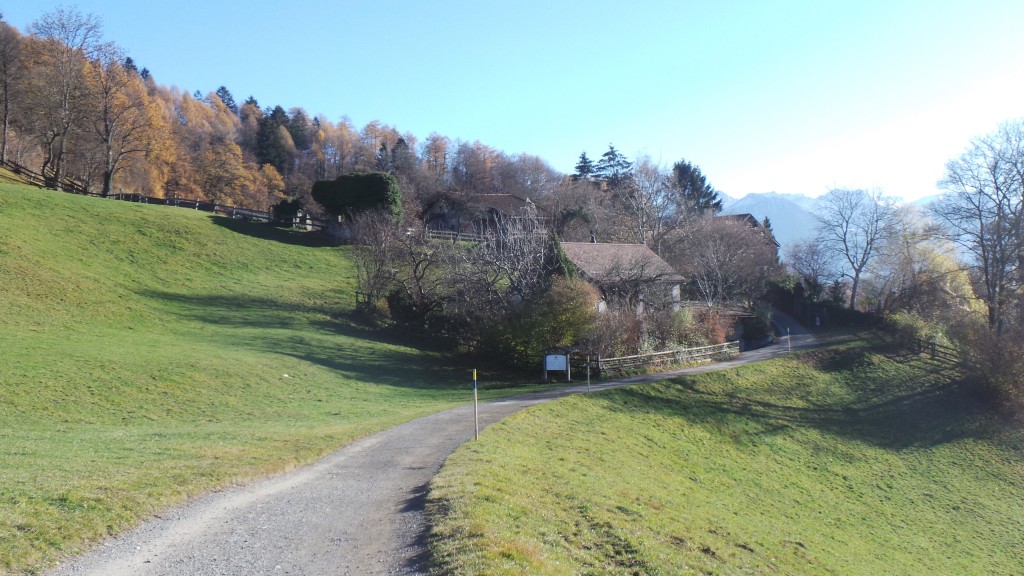 Explicando o suíço através de seus ídolos Imagem: www.minhasuica.com