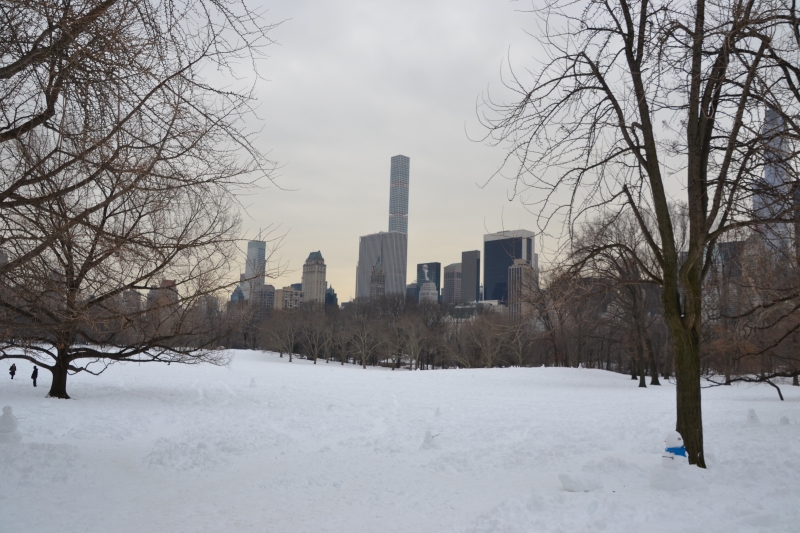 Optimized-DSC_2386