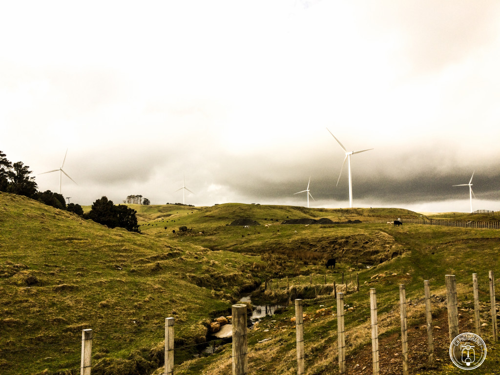 Wind Farm - Fazenda de energia Eólica