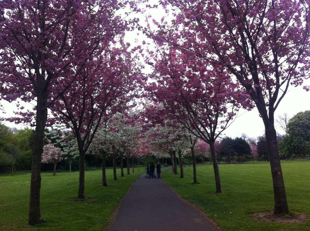 Primavera em Dublin primavera-dublin