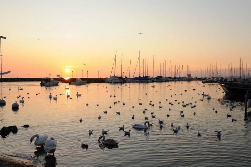 foto: Lago Genebra - Ouchy, Lausanne - www.minhasuica.com