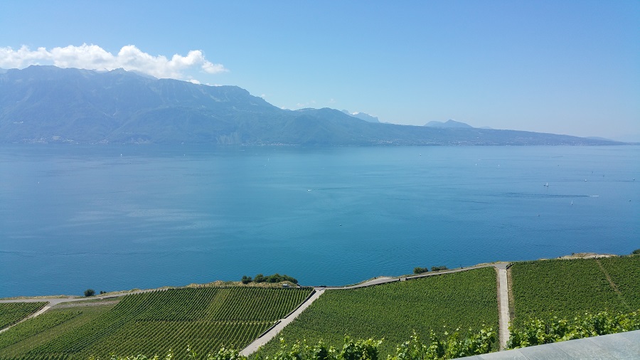 Lavaux, Suíça