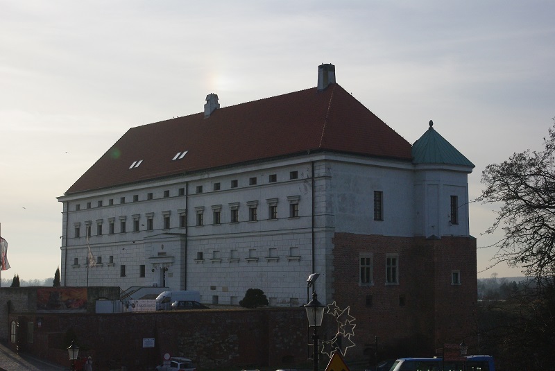 IMGP8233