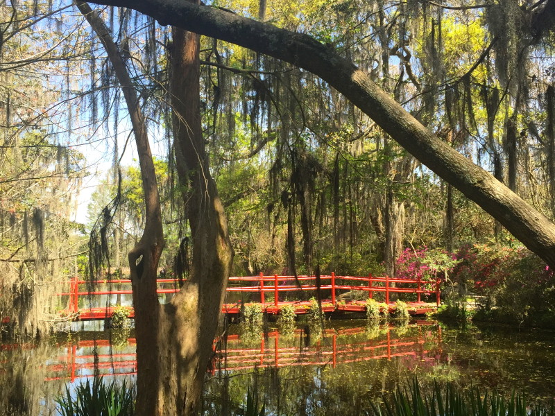 Deslumbrante jardim da Magnolia Plantation