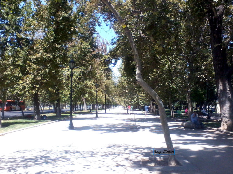 Parque Forestal