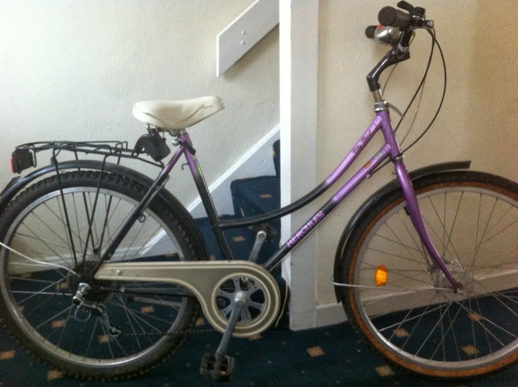 Minha primeira bicicleta