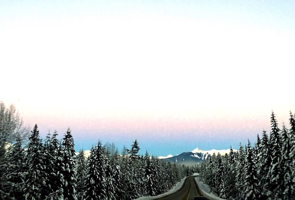 Quatro motivos para morar em Alberta, no Canadá