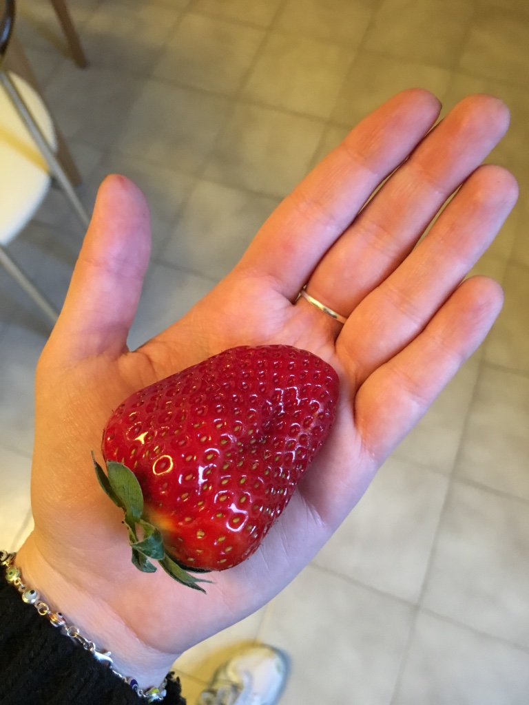 Morando comprado no Danilovsky durante o inverno: quem disse que não tem fruta?