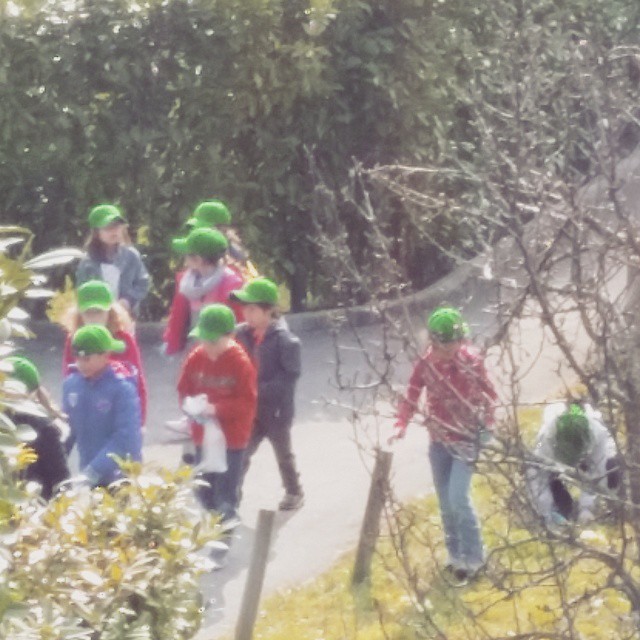 Foto: www.minhasuica.com