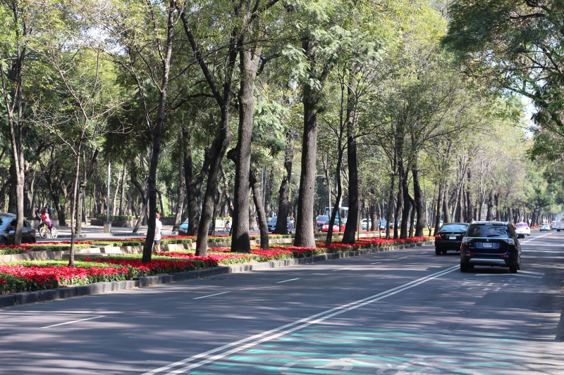 Domingo tranquilo na Avenida Paseo de la Reforma, que fecha parte como ciclovia neste dia.