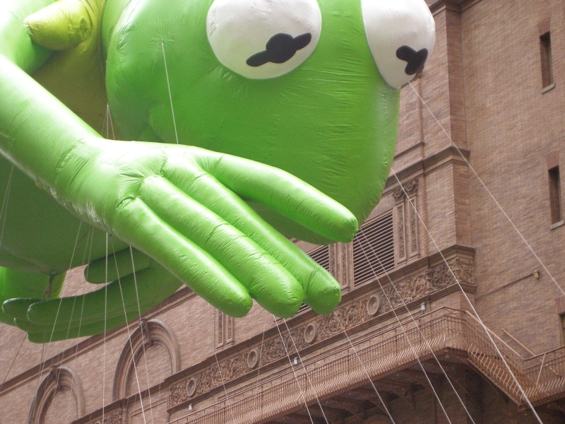 optimized-kermit-985610_1920