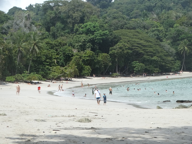Parque Nacional Manuel Antonio - Acervo Pessoal