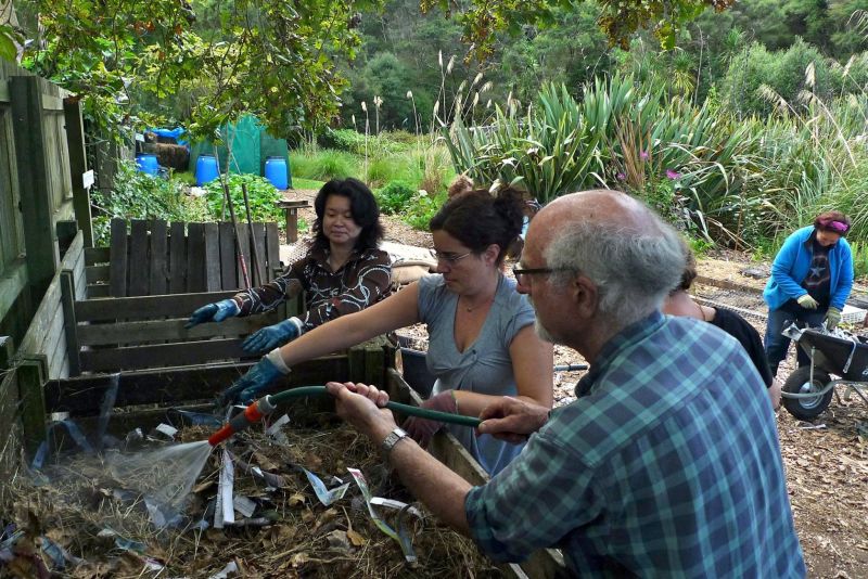 Carreira Na Nova Zelândia Trabalho Voluntário Volunteer New Zealand
