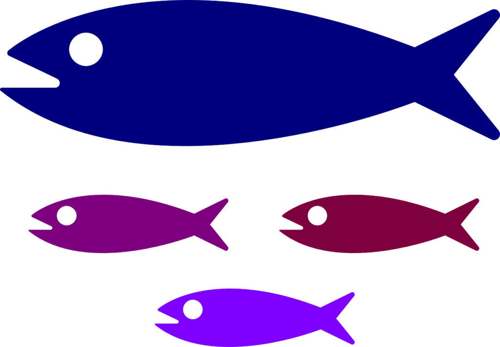 Nacionalidade portuguesa atribuída a netos de portugueses nascidos no exterior