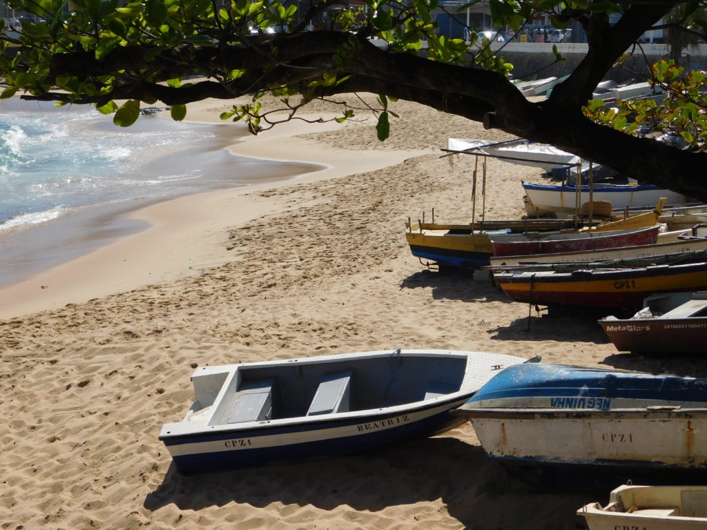 Férias na Bahia