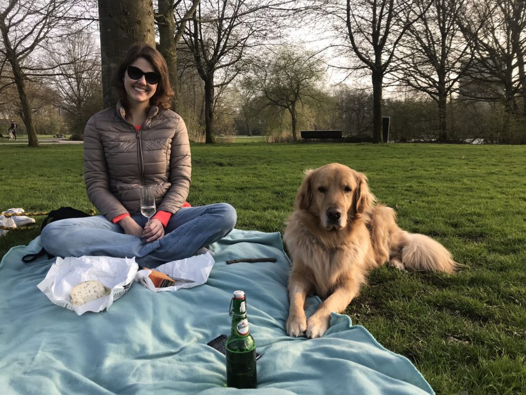 O que você precisa saber pra ter um cachorro na Holanda