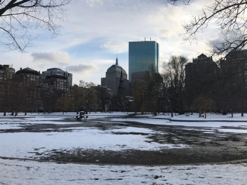 boston, public garden